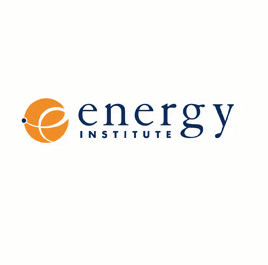 Energy Institute