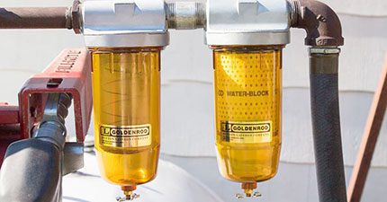 Goldenrod CTS