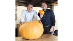 Oilshield team whopper is clear winner of annual pumpkin growing competition held Compass Environmental Consultancy.