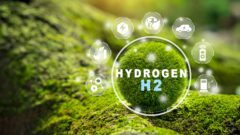 What is driving the hydrogen economy?