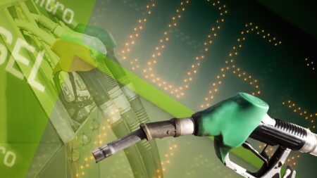 Biodiesel pump